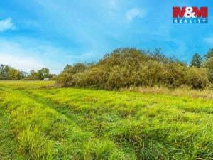 Prodej louky, Jestřebí, 14822 m2