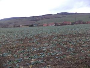 Prodej pozemku, Morkůvky, 6867 m2