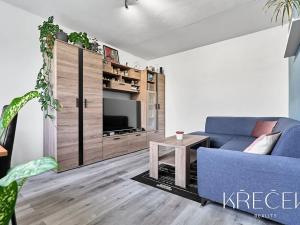 Pronájem bytu 2+1, Třebíč, Modřínová, 50 m2