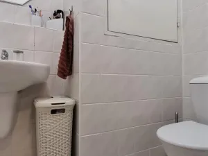 Pronájem bytu 1+1, Brno, Majdalenky, 137 m2