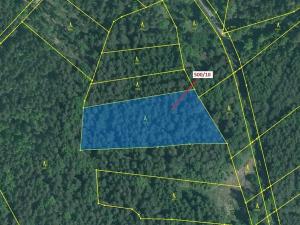 Dražba lesa, Jílovice, 5755 m2