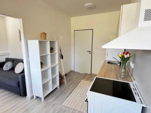 Prodej rodinného domu, Orlické Záhoří, 110 m2