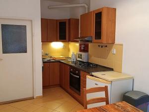 Pronájem bytu 1+1, Praha - Staré Město, U milosrdných, 41 m2