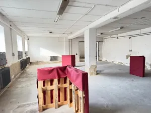 Prodej výrobních prostor, Morkovice-Slížany, 2000 m2