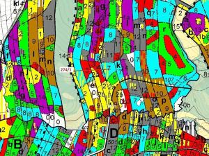 Dražba lesa, Psárov, 2949 m2