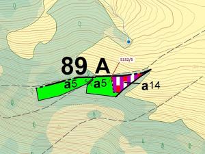 Dražba lesa, Mikulášovice, 4741 m2