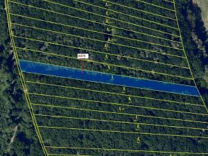 Dražba lesa, Archlebov, 2892 m2