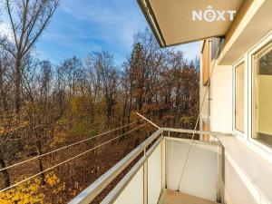 Prodej bytu 1+kk, Hradec Králové, Severní, 32 m2