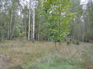 Prodej zahrady, Liberec, 1233 m2