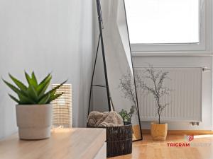 Pronájem bytu 1+kk, Hradec Králové - Třebeš, Ve Stromovce, 41 m2