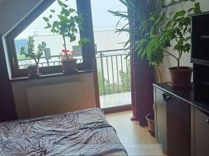 Pronájem pokoje, Praha - Hlubočepy, Högerova, 18 m2