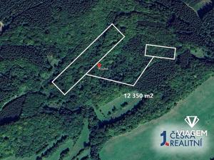 Prodej podílu lesa, Lužná, 3087 m2