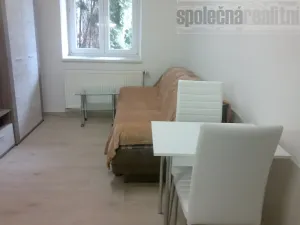 Pronájem bytu 1+kk, Holubice, Na Hrázi, 20 m2