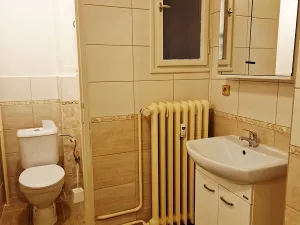 Pronájem bytu 1+1, Praha - Vinohrady, Kouřimská, 37 m2