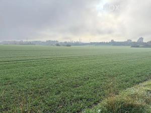 Prodej zahrady, Plzeň, 327 m2