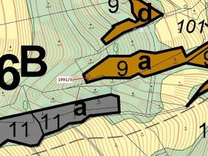Dražba lesa, Hovězí, 115 m2