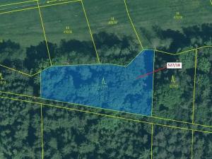 Dražba lesa, Stehlovice, 2071 m2