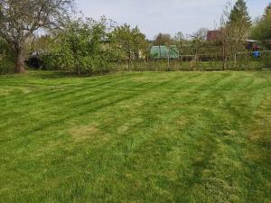 Pronájem zahrady, Turnov, 1632 m2