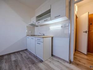 Pronájem bytu 1+kk, Frýdek-Místek, 17. listopadu, 23 m2