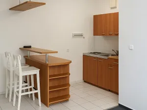 Pronájem bytu 1+kk, Praha - Vysočany, bratří Dohalských, 41 m2