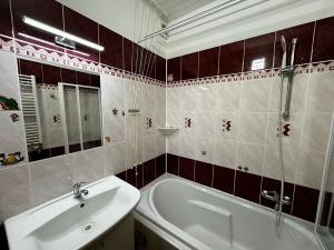 Pronájem bytu 2+1, Vysoké Mýto, Sv. Čecha, 55 m2