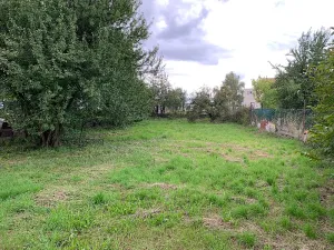 Prodej rodinného domu, Kojetín, náměstí Svobody, 60 m2