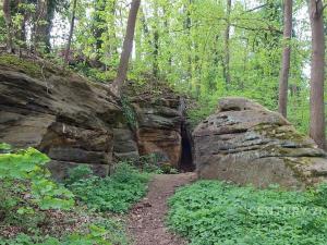 Pronájem bytu 2+kk, Praha, Bohdanečská, 47 m2