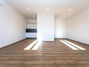 Pronájem bytu 1+kk, Praha - Nové Město, Lípová, 48 m2