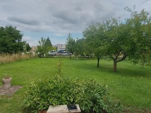 Prodej zahrady, Veselí nad Moravou, 625 m2