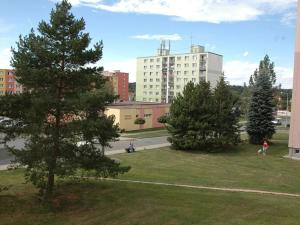 Pronájem bytu 1+kk, Dobřany, Sokolovská, 28 m2