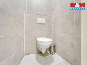 Pronájem obchodního prostoru, Plzeň - Vnitřní Město, Bedřicha Smetany, 116 m2