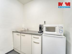 Pronájem obchodního prostoru, Plzeň - Vnitřní Město, Bedřicha Smetany, 116 m2