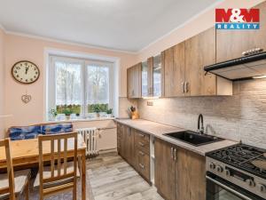 Prodej bytu 2+1, Litvínov - Horní Litvínov, U Zámeckého parku, 58 m2