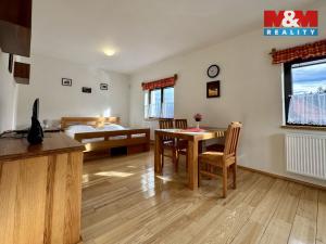 Pronájem bytu 1+kk, Mnichov - Vranov, 34 m2