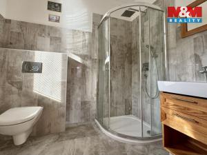 Pronájem bytu 1+kk, Mnichov - Vranov, 34 m2