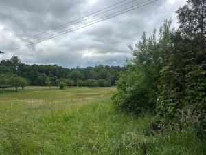 Prodej louky, Benecko, 10668 m2