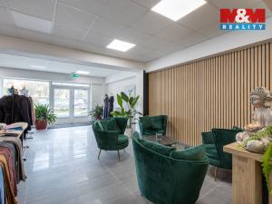 Pronájem obchodního prostoru, Louny, Březinova, 210 m2
