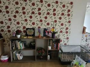 Pronájem bytu 3+1, Vimperk, Brantlova, 222 m2