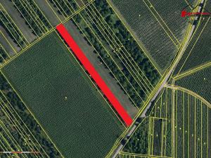 Prodej zahrady, Velké Bílovice, 3450 m2