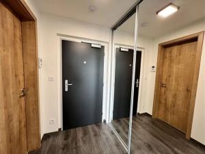 Pronájem bytu 2+kk, Hradec Králové, Kubelíkova, 54 m2