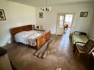 Prodej vícegeneračního domu, Opočnice, 604 m2