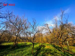 Prodej pozemku pro bydlení, Podolí, 1608 m2