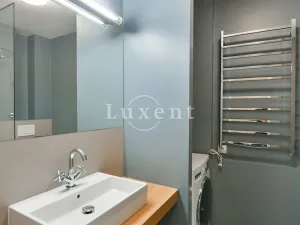 Pronájem bytu 1+kk, Praha - Vinohrady, Lucemburská, 30 m2