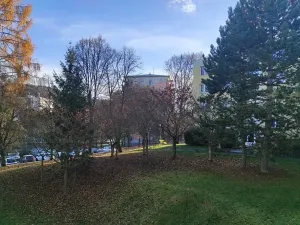 Pronájem bytu 3+1, Brno, Vondrákova, 73 m2