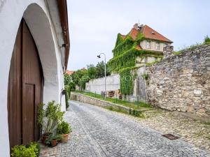 Prodej vily, Český Krumlov, Horská, 469 m2