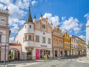 Prodej vícegeneračního domu, Havlíčkův Brod, Ječná, 239 m2