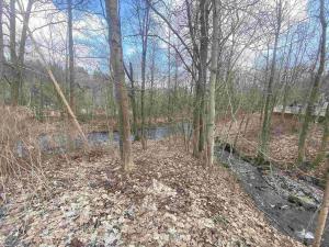 Prodej pozemku, Bartošovice v Orlických horách, 1201 m2