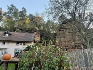 Prodej rodinného domu, Noviny pod Ralskem, 210 m2