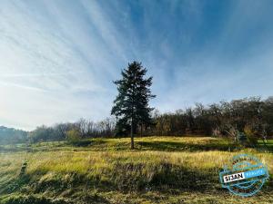 Prodej pozemku pro bydlení, Krnov, Petrův důl, 1311 m2