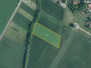 Prodej pole, Nesvačilka, 19558 m2